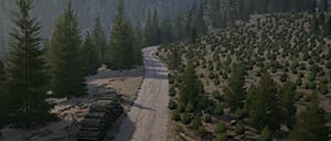 WRC