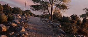 WRC